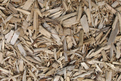 biomass boilers Treskilling